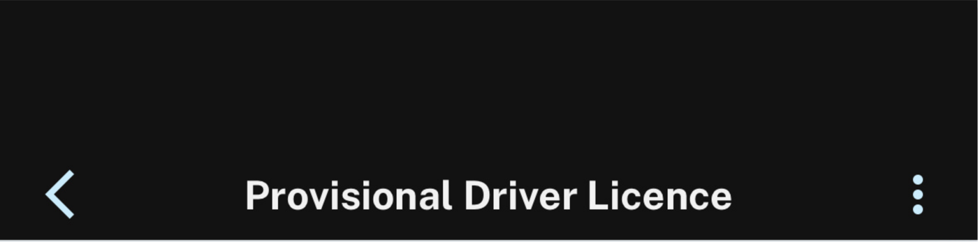 Provisional Driver Licence
