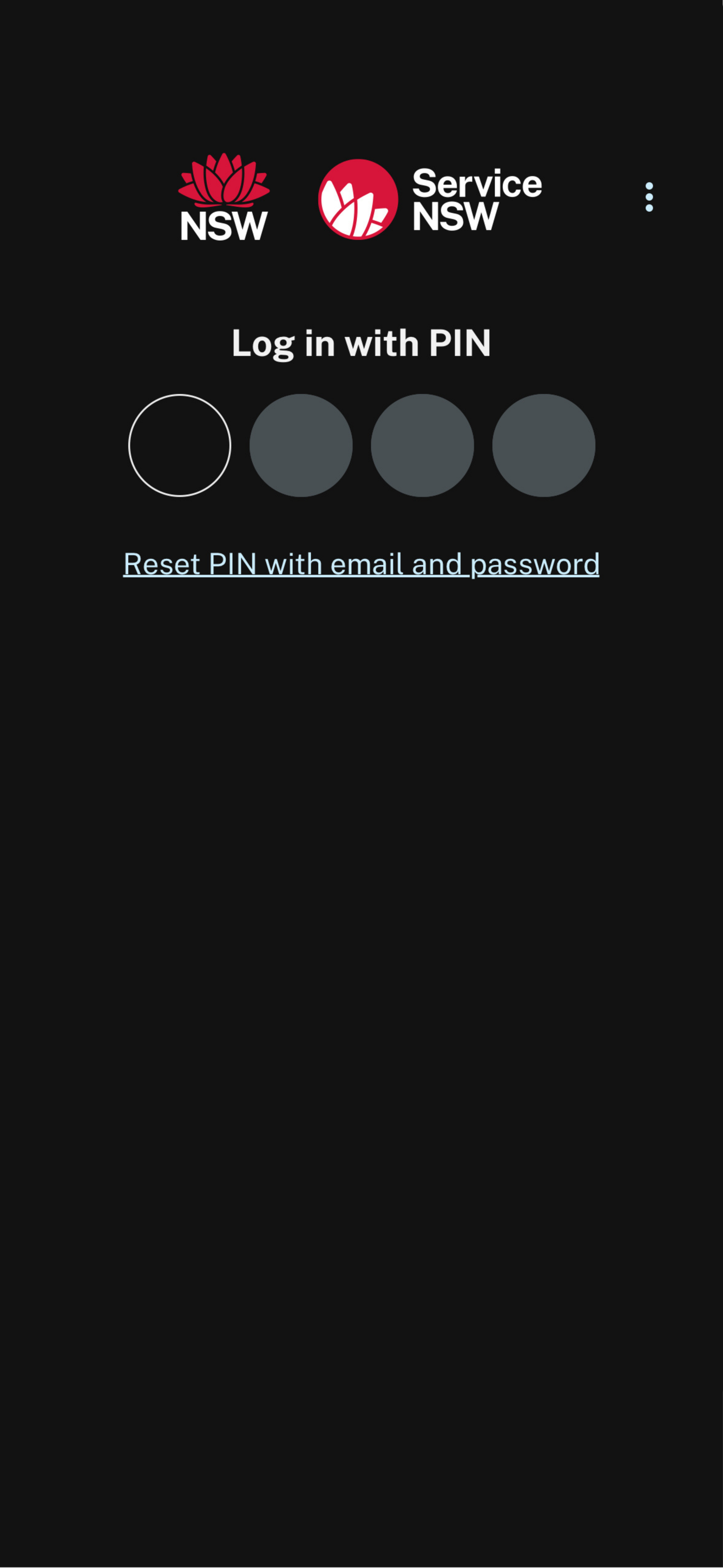 Log in with PIN